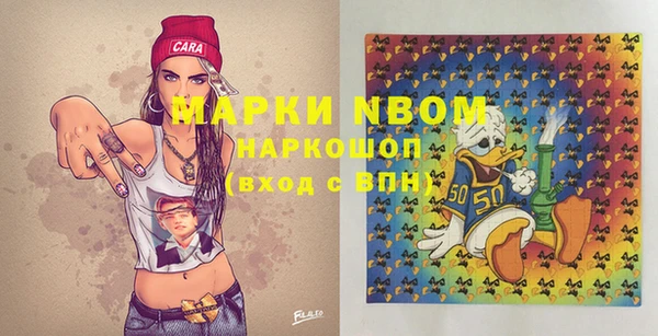 apvp Алзамай