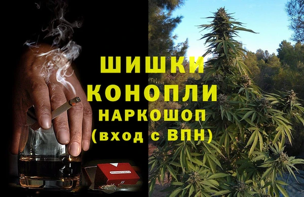 apvp Алзамай