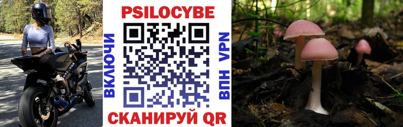 kraken   Алексеевка  Галлюциногенные грибы ЛСД 