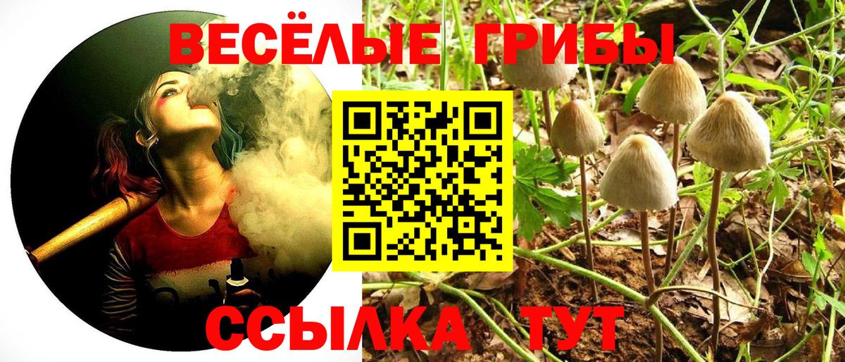 Галлюциногенные грибы мицелий Алексеевка