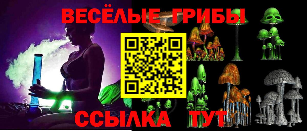 наркотики  Псилоцибиновые грибы Magic Shrooms  Вход с VPN  Алексеевка 